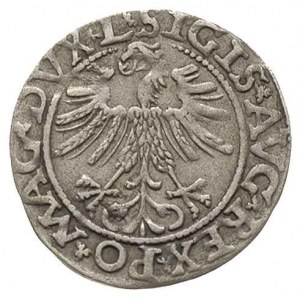 półgrosz 1562, Wilno, odmiana z herbem Topór na dole, I...