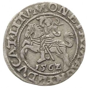 półgrosz 1562, Wilno, odmiana z herbem Topór na dole, I...