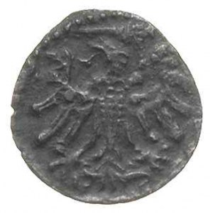 denar 1554, Gdańsk, T. 8, ciemna patyna