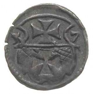 denar 1557, Elbląg, T. 7, ciemna patyna