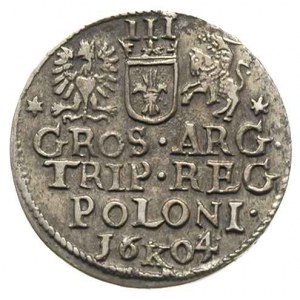 trojak 1604, Kraków, Iger K.04.1.a (R1), patyna