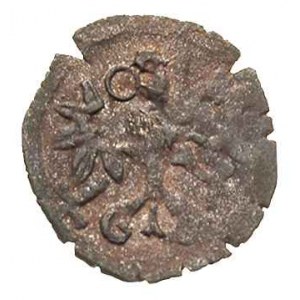 denar 1604, Wschowa, H-Cz. 7420 (R7), Tyszkiewicz nie n...