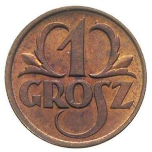 1 grosz 1925, Warszawa, Parchimowicz 101.b, piękny egze...