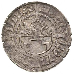 Bogusław X 1474-1523, szeląg 1501/0, Szczecin. Dbg. 390...