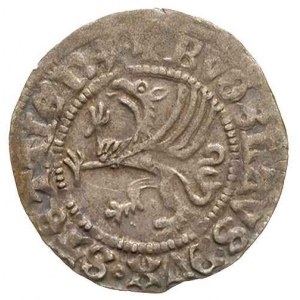 Bogusław X 1474-1523, szeląg 1505, Szczecin. Dbg. 394. ...