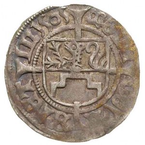 Bogusław X 1474-1523, szeląg 1505, Szczecin. Dbg. 394. ...