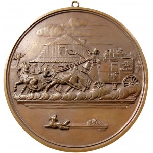 medalion będący rewersem medalu niesygnowanego z V Wyst...