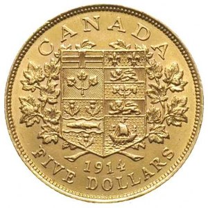 Jerzy V 1910-1936, 5 dolarów 1914, Ottawa, złoto 8.35 g...