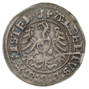 Albrecht von Hohenzollern 1511-1525, grosz 1513, Aw: Or...