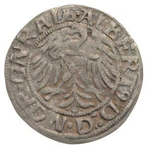 Albrecht von Hohenzollern 1511-1525, grosz 1519, Aw: Or...