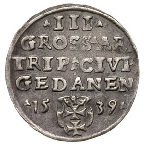 trojak 1539 Gdańsk, Iger G.39.1.j (R1), patyna