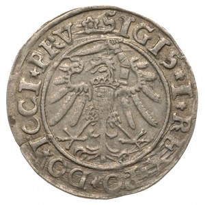 grosz 1534, Elbląg