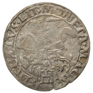 grosz 1535, Wilno, odmiana z literą N pod Pogonią, Ivan...