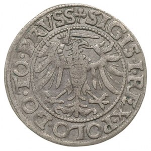 grosz 1539, Elbląg, na awersie końcówka napisu PRVSS, d...