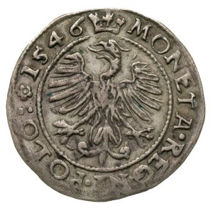 grosz 1546, Kraków, odmiana z końcówka napisu POLO, dwu...