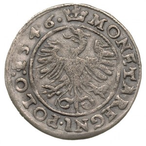 grosz 1546, Kraków, odmiana z dwoma rozetkami po boku k...