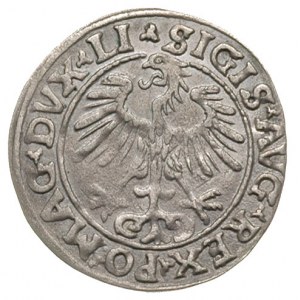 półgrosz 1555, Wilno, Ivanauskas 4SA55-16, nieco rzadsz...