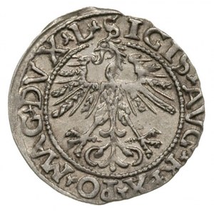 półgrosz 1562, Wilno, Ivanauskas 4SA114-29