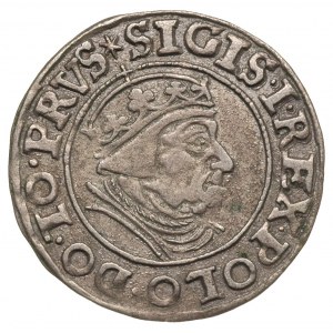 grosz 1539, Gdańsk, patyna
