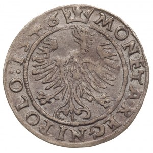 grosz 1546, Kraków, korona płaska, ładny, patyna