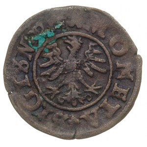 trzeciak 1528, Kraków, T. 20
