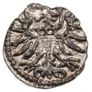 denar 1555, Gdańsk, T. 6, lekko wyszczerbiony krążek, a...