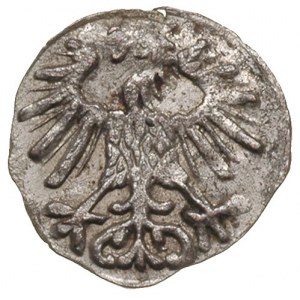 denar 1556, Wilno, Ivanauskas 2SA15-6, T.6, nieznaczna ...