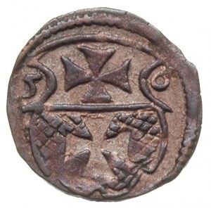 denar 1556, Elbląg, T. 7, patyna