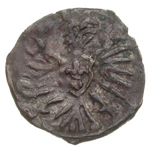 denar 1603, Poznań, T. 3, patyna