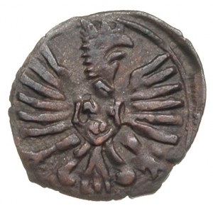 denar 1605, Poznań, T. 2, bardzo ładny, patyna