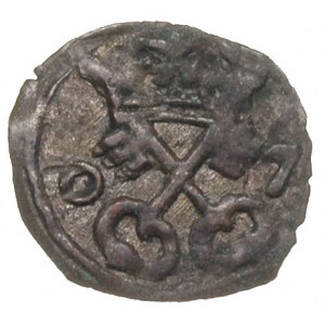 denar 1607, Poznań, T. 5, patyna