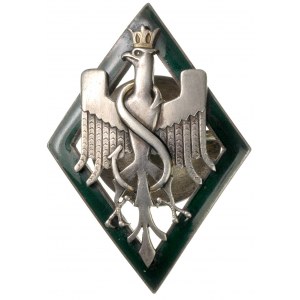 II Rzeczpospolita, odznaka pamiątkowa 5 Dywizji Strzelc...