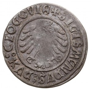 grosz 1506, Głogów, Fbg. 296, moneta bita przez królewi...