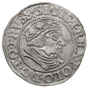 grosz 1538, Gdańsk, ładny