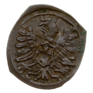 denar 1603, Poznań, na rewersie Orzeł w lewo, T. 3, pat...