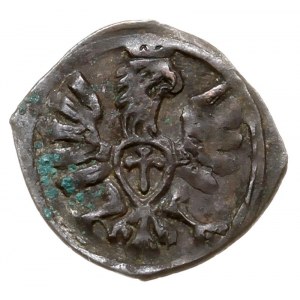 denar 1609, Poznań, T. 2, bardzo ładny, patyna