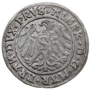 grosz 1529, Królewiec, Bahr. 1114, Neumann 45, bardzo r...