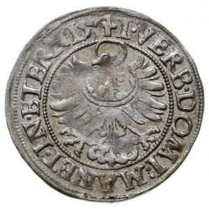 grosz 1541, Legnica, F.u.S 1349, rzadszy rocznik