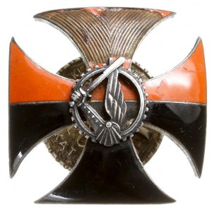 odznaka 2 Batalion Pancerny - Żurawica, srebro 38 x 38 ...