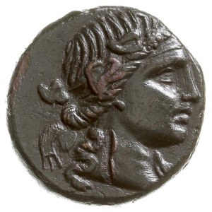 Tracja, Pantikapea, AE-25, 100-70 pne, Aw: Głowa Dioniz...