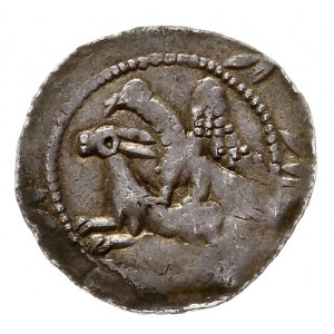 Władysław II Wygnaniec 1138-1146, denar, Aw: Rycerz z m...