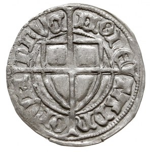 Paweł I Bellitzer von Russdorff 1422-1441, szeląg 1422-...