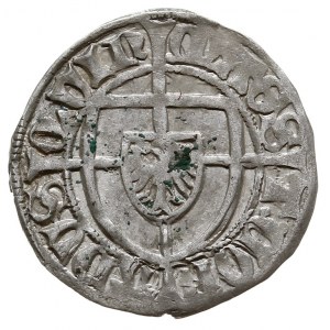 Konrad V von Erlichshausen 1441-1449, szeląg, MAGS-T CO...