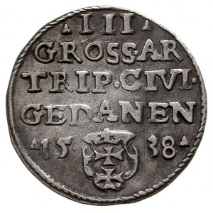 trojak 1538, Gdańsk, Iger G.39.1.g (R1), delikatna paty...