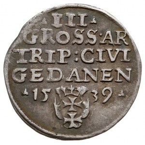 trojak 1539, Gdańsk, na awersie odmiana napisu PRVS i k...