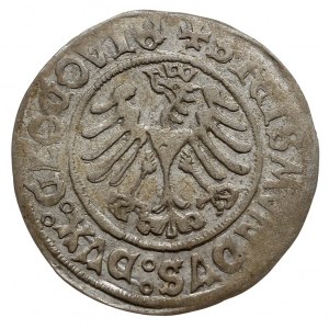 grosz, 1506, Głogów, moneta bita przez królewicza Zygmu...
