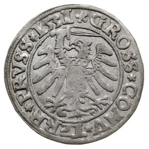 grosz 1531, Toruń, bardzo ładny