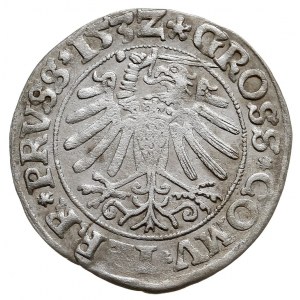 grosz 1532, Toruń, na awersie końcówka napisu PRVSS, mi...