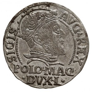 grosz na stopę polską 1547, Wilno, mniejsza głowa króla...