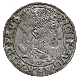 grosz 1557, Gdańsk, T. 4, rzadki